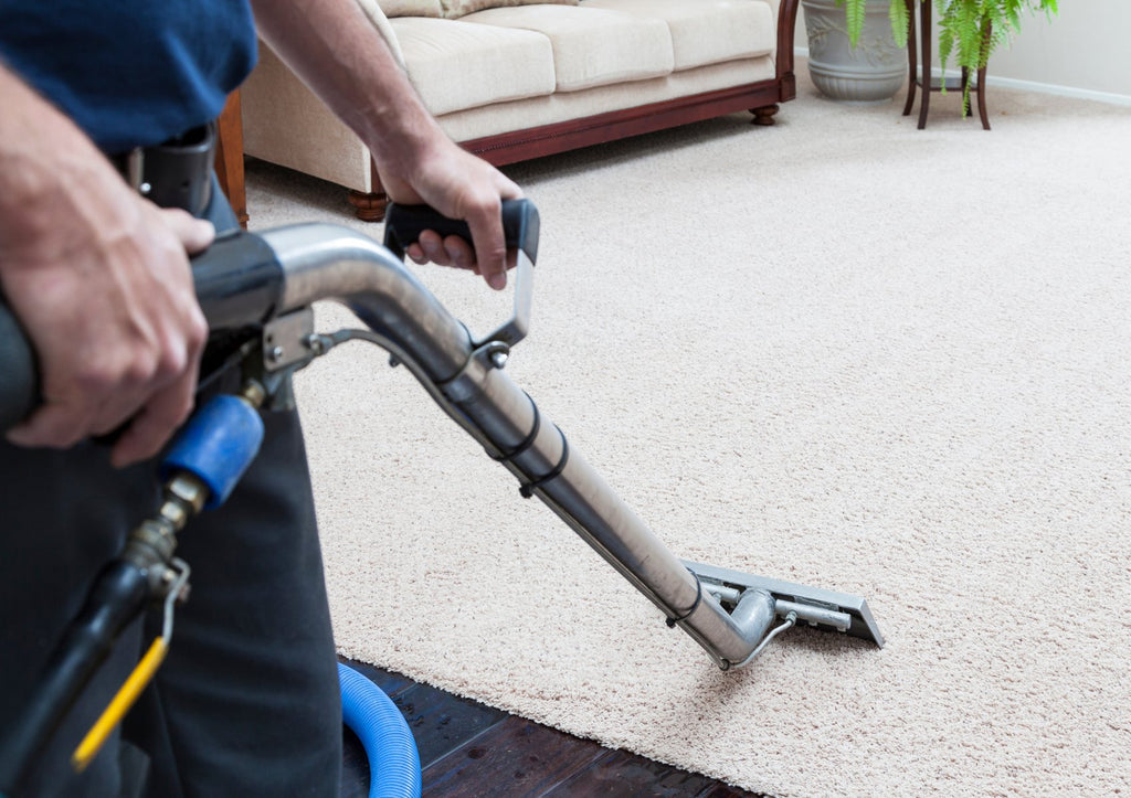 Carpet Cleaning - Dirt Buster